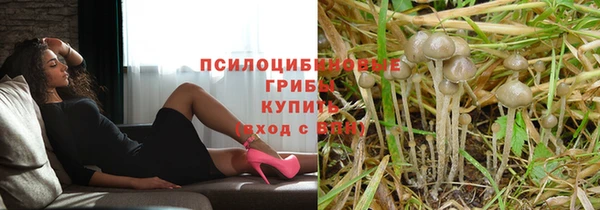 ECSTASY Волоколамск