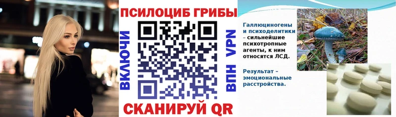 Купить Борзя Псилоцибиновые грибы Psilocybe